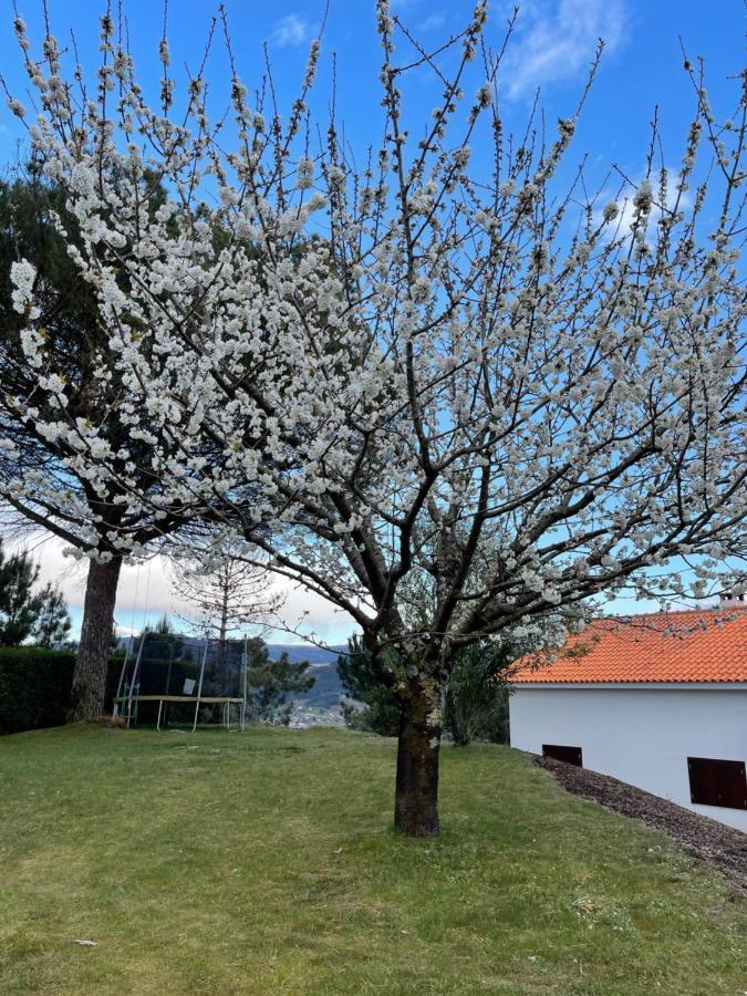 Casa Catita - Douro Villa Baiao Exterior photo